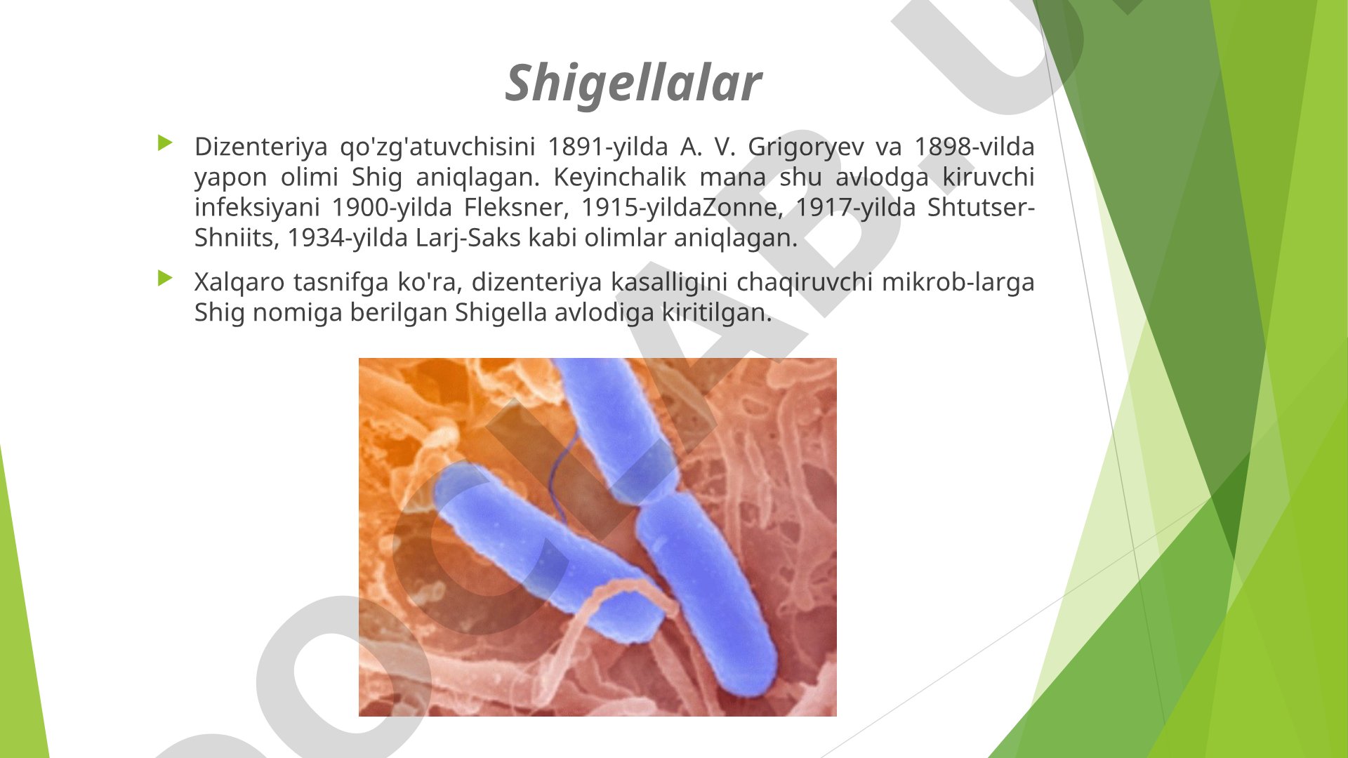 Shigellalar va dizenteriya qo'zg'atuvchilari