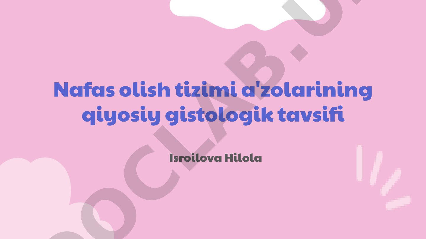 Nafas olish tizimi a'zolarining qiyosiy gistologik tavsifi