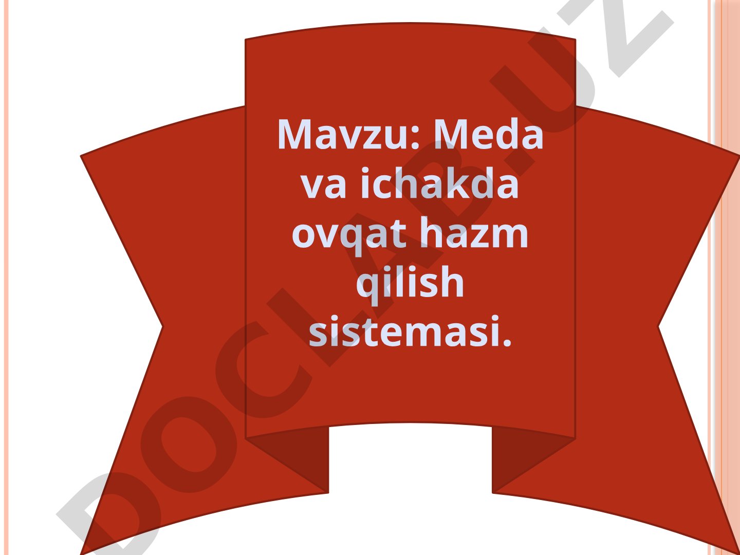 Meda va ichakda ovqat hazm qilish sistemasi