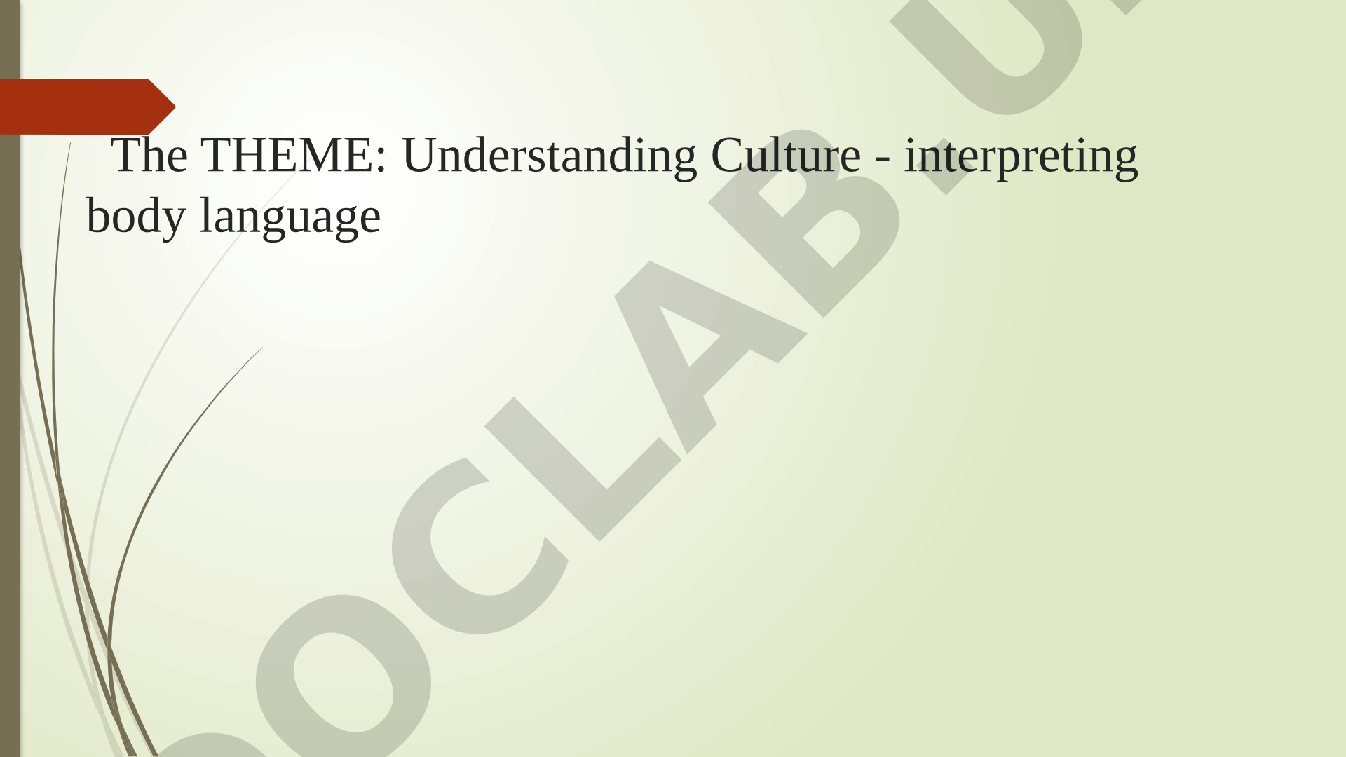 Understanding Culture - interpreting body language