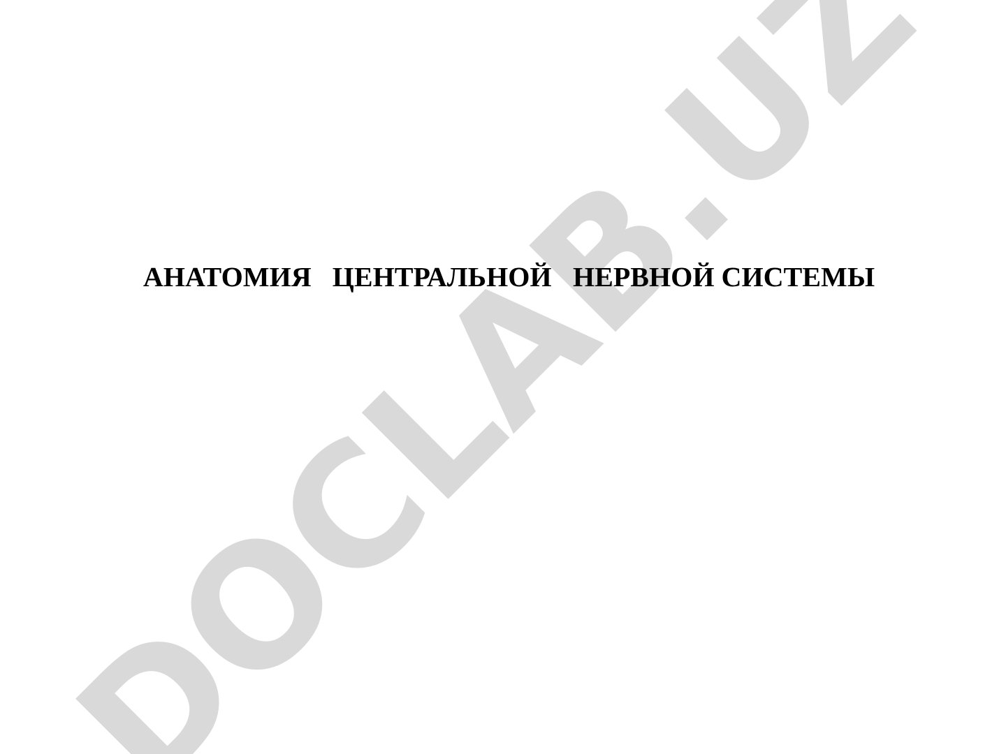 Анатомия центральной нервной системы