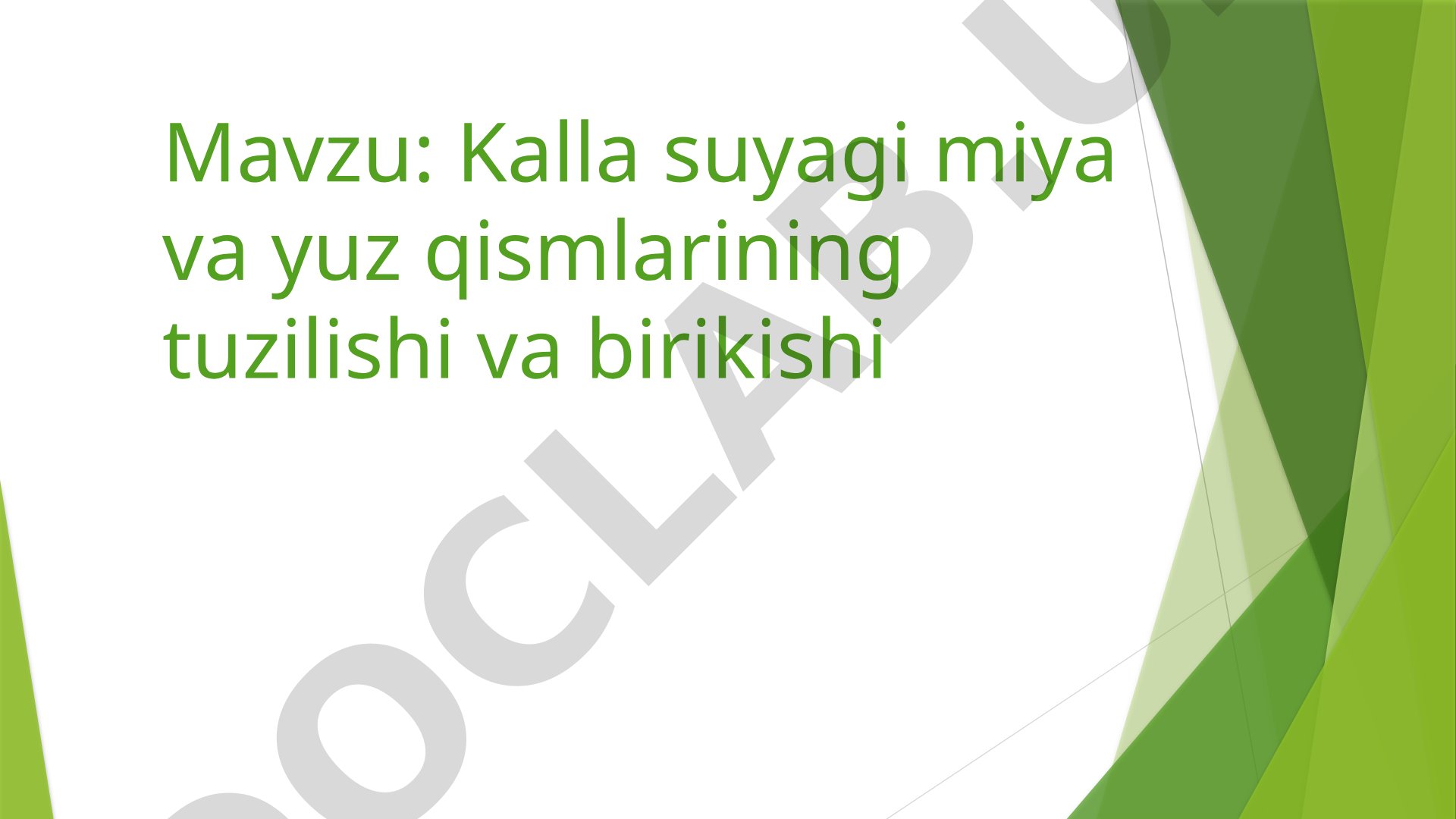 Kalla Suyagi Tuzilishi