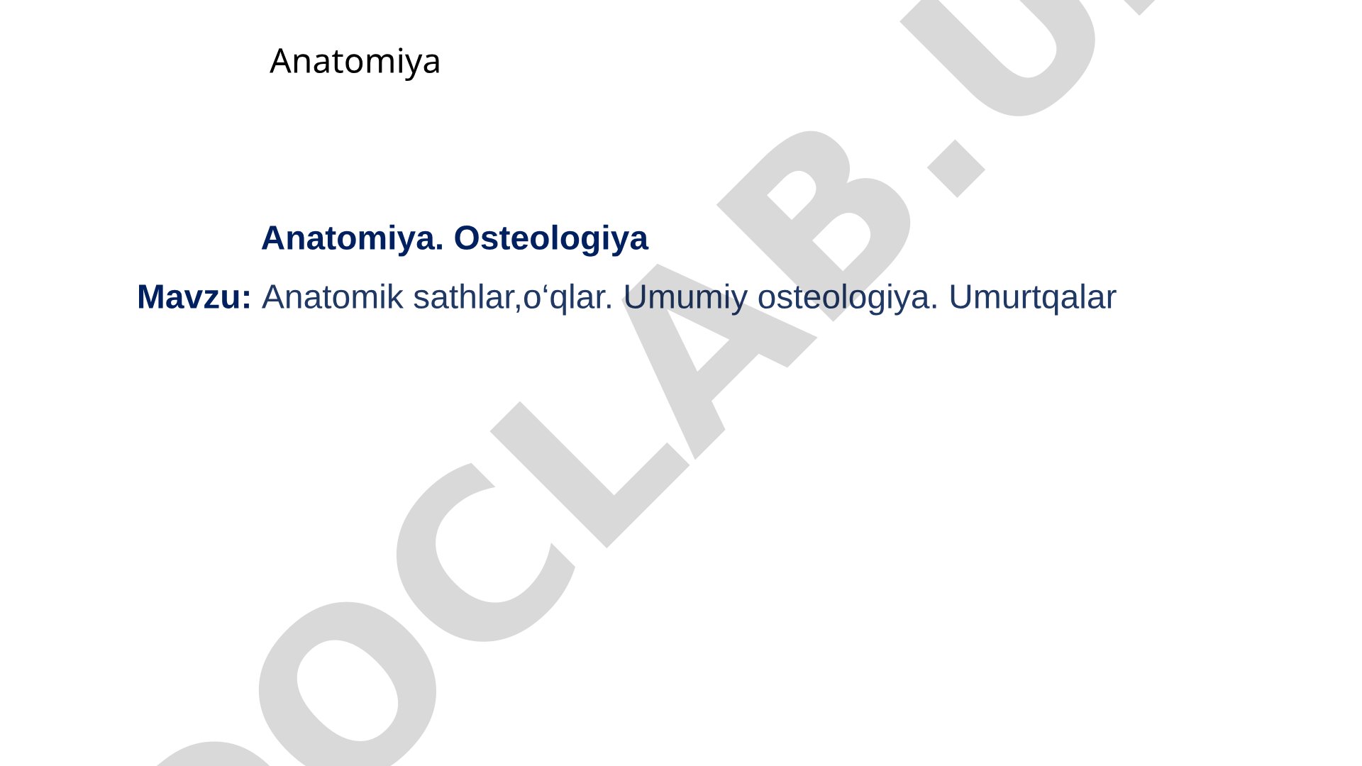 Anatomik sathlar, o‘qlar. Umumiy osteologiya. Umurtqalar