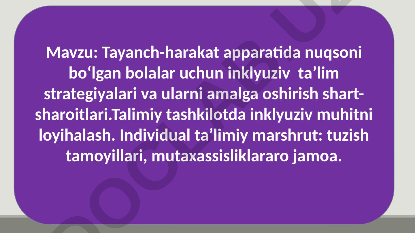 Tayanch-harakat apparatida nuqsoni bo‘lgan bolalar uchun inklyuziv ta’lim strategiyalari va ularni amalga oshirish shart-sharoitlari