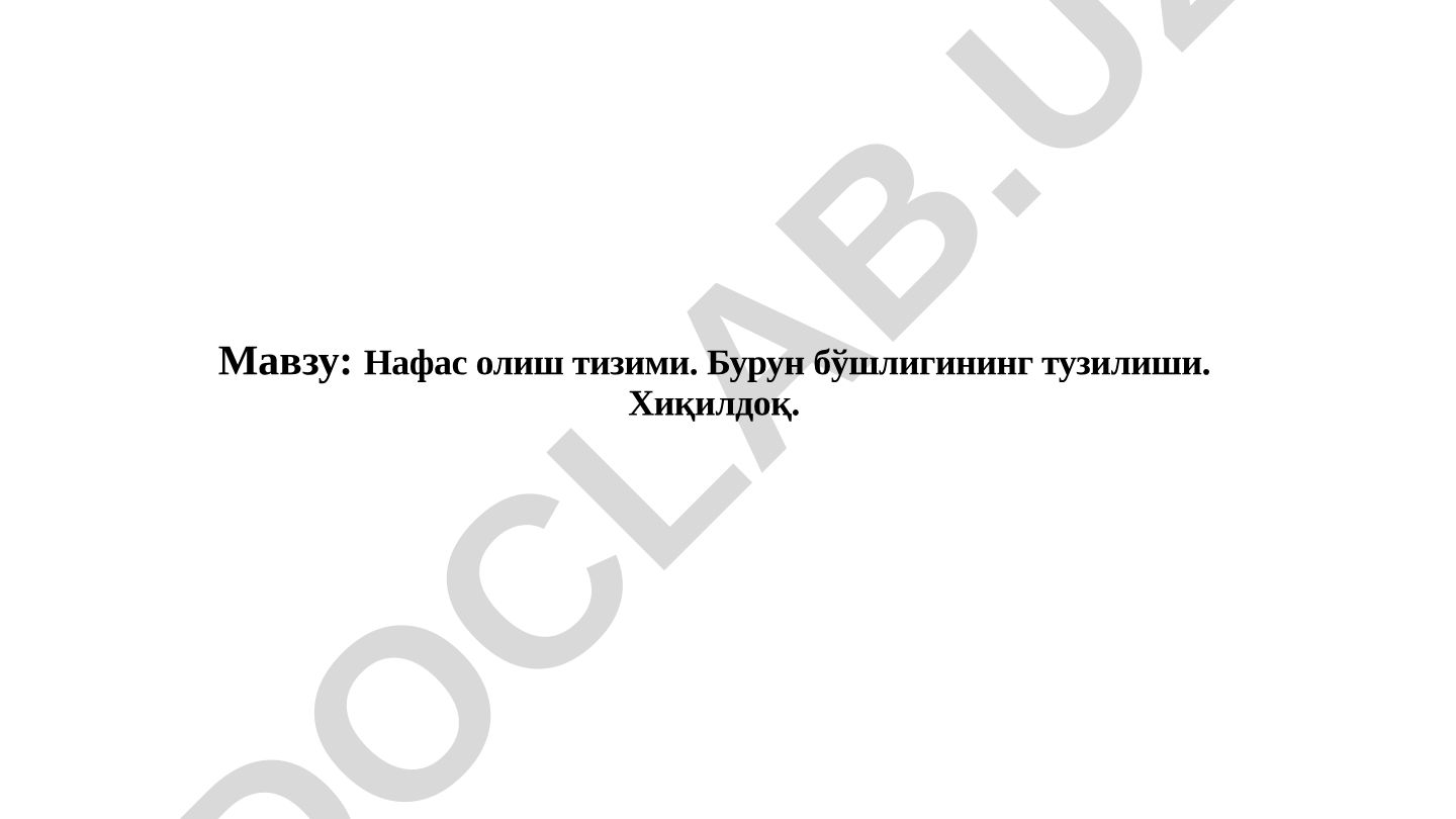 Нафас олиш тизими. Бурун бўшлигининг тузилиши. Хиқилдоқ. Нафас аъзолари тизими