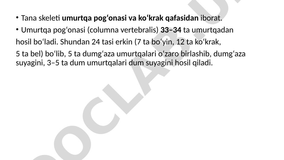 Tana skeleti va umurtqa pog'onasi tuzilishi