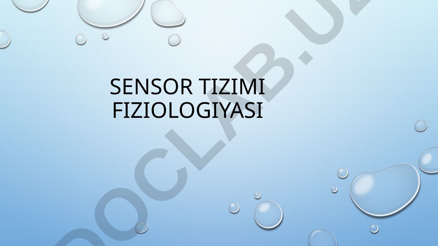 Sensor tizimi fiziologiyasi