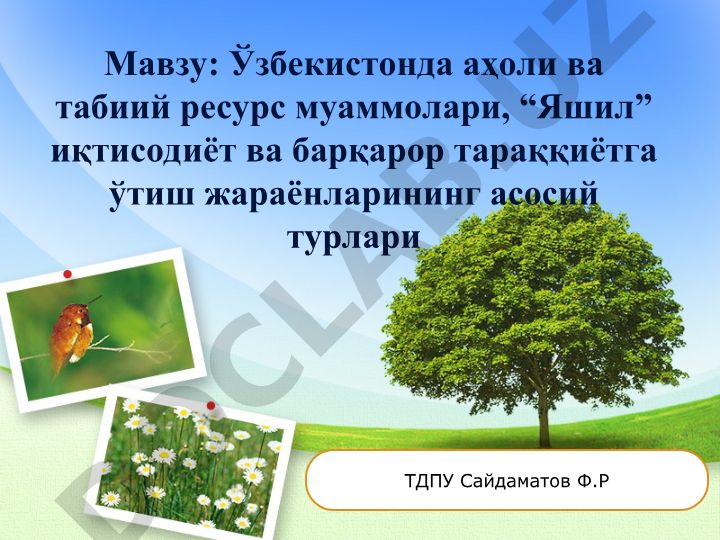 Ўзбекистонда аҳоли ва табиий ресурс муаммолари, “Яшил” иқтисодиёт ва барқарор тараққиётга ўтиш жараёнларининг асосий турлари