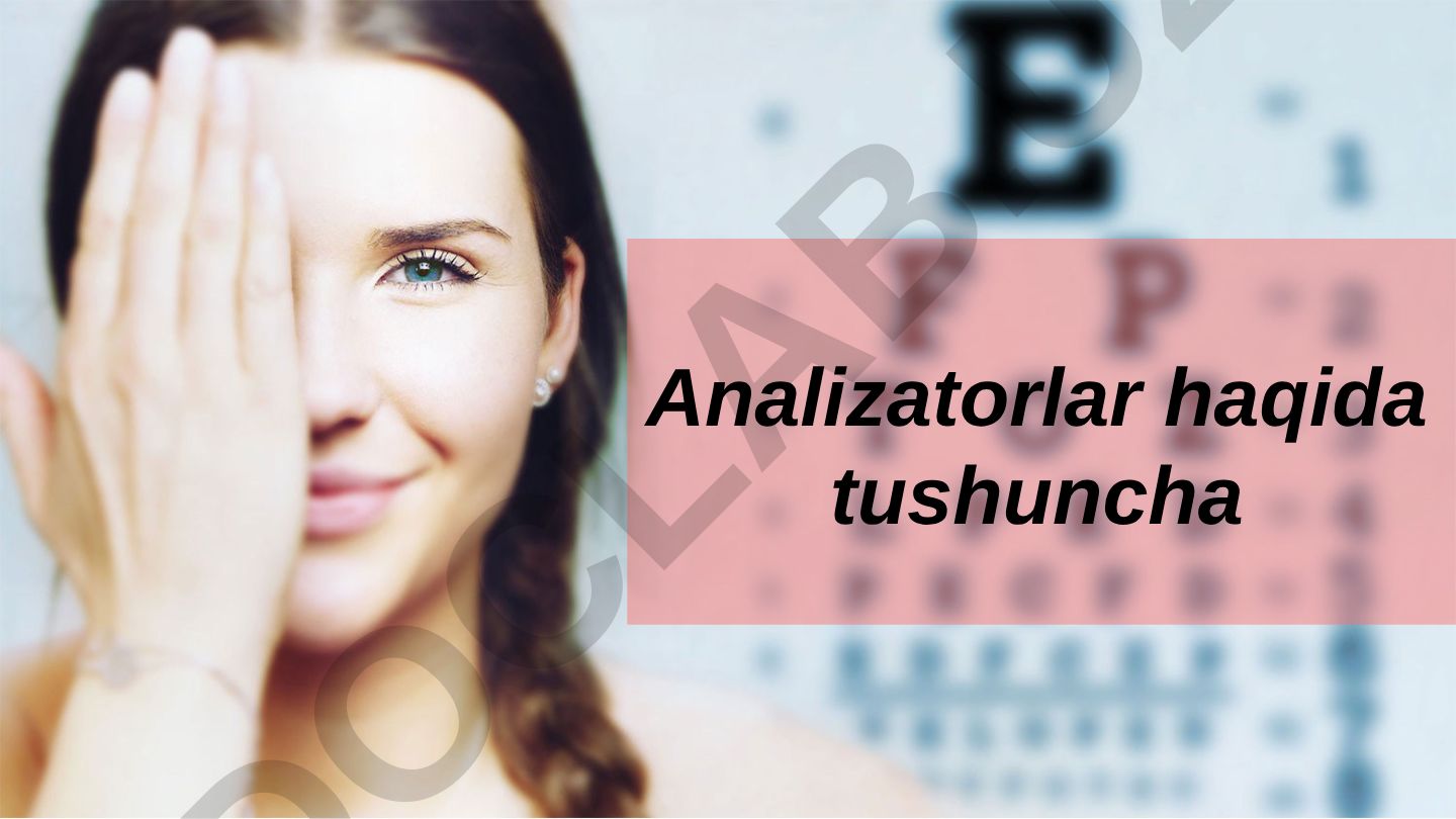 Analizatorlarning umumiy tuzilishi, ahamiyati va fiziologiyasi