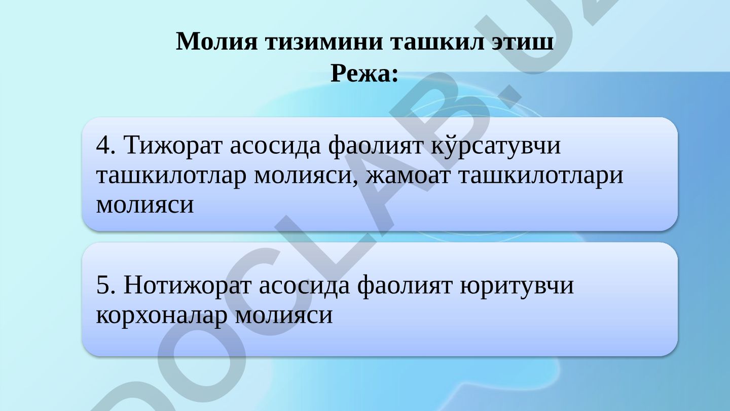 Молия тизимини ташкил этиш