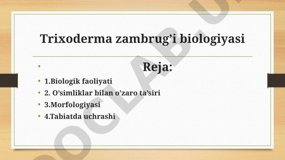 Trixoderma zambrug’i biologiyasi