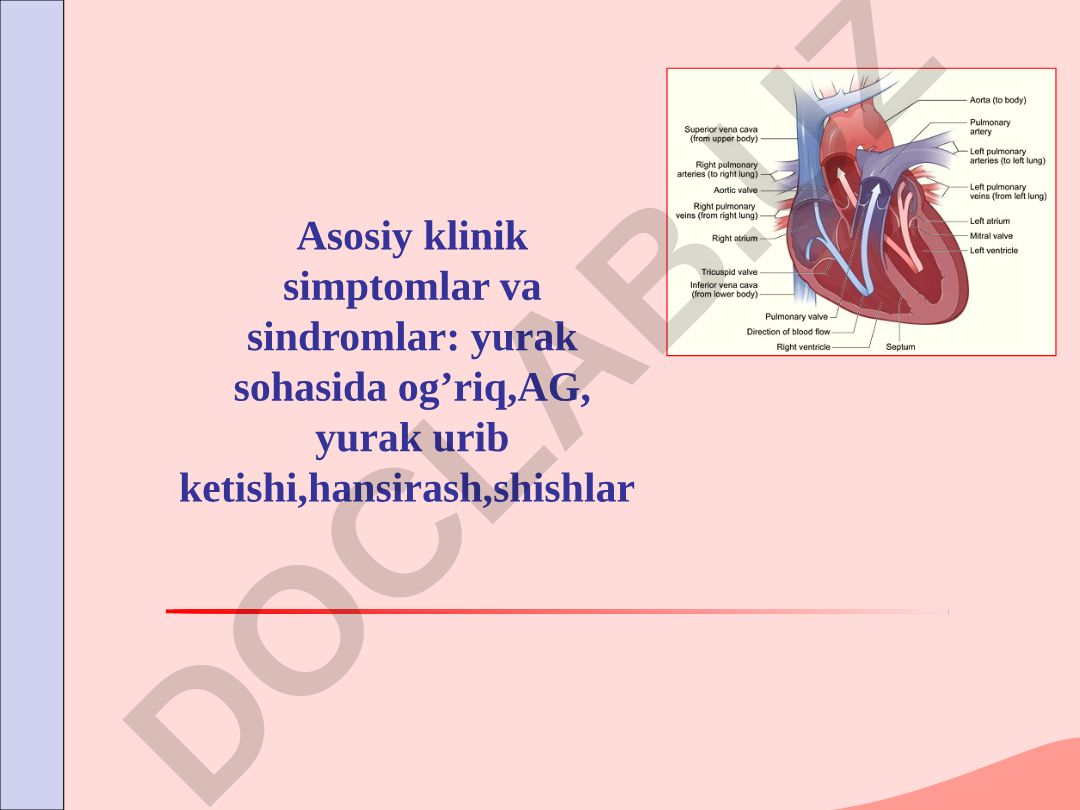 Yurak sohasida og'riq va klinik simptomlar