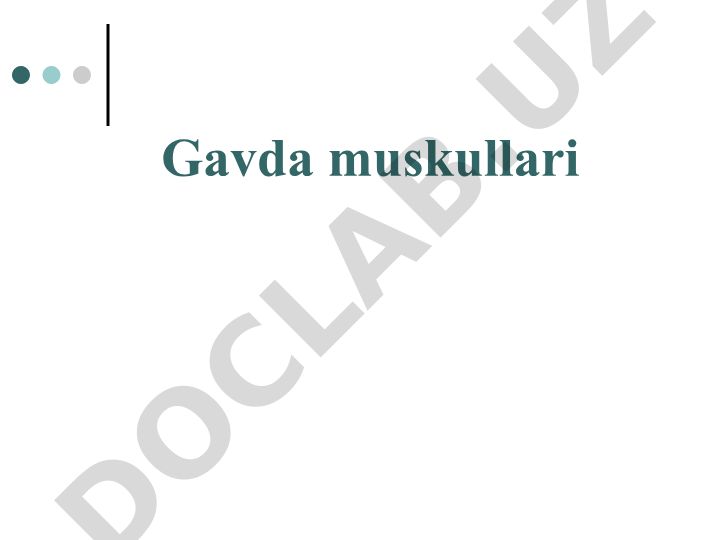 Gavda muskullari tuzilishi va joylashishi