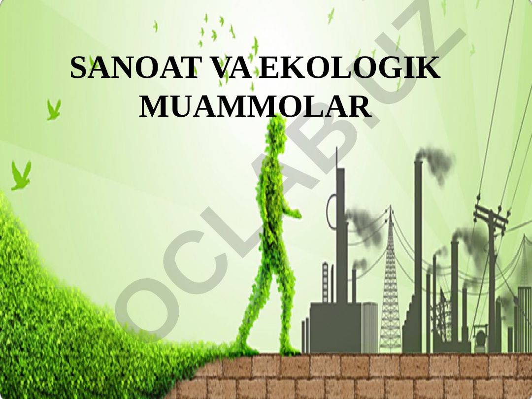 Sanoat va ekologik muammolar