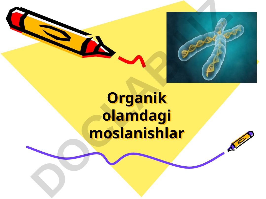 Organik olamdagi moslanishlar va ularning turlari