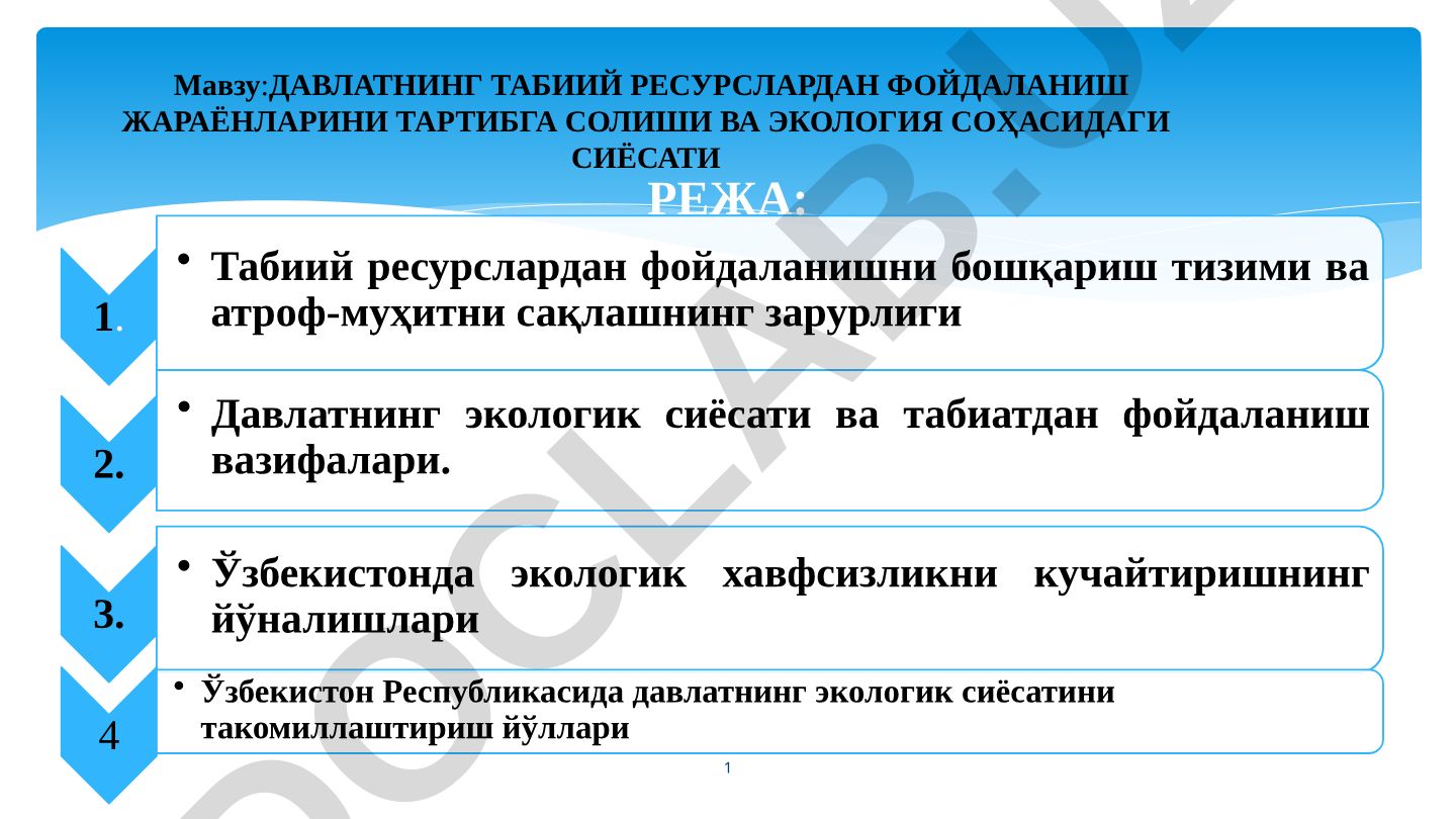 Давлатнинг табиий ресурслардан фойдаланиш жараёнларини тартибга солиши ва экология соҳасидаги сиёсати