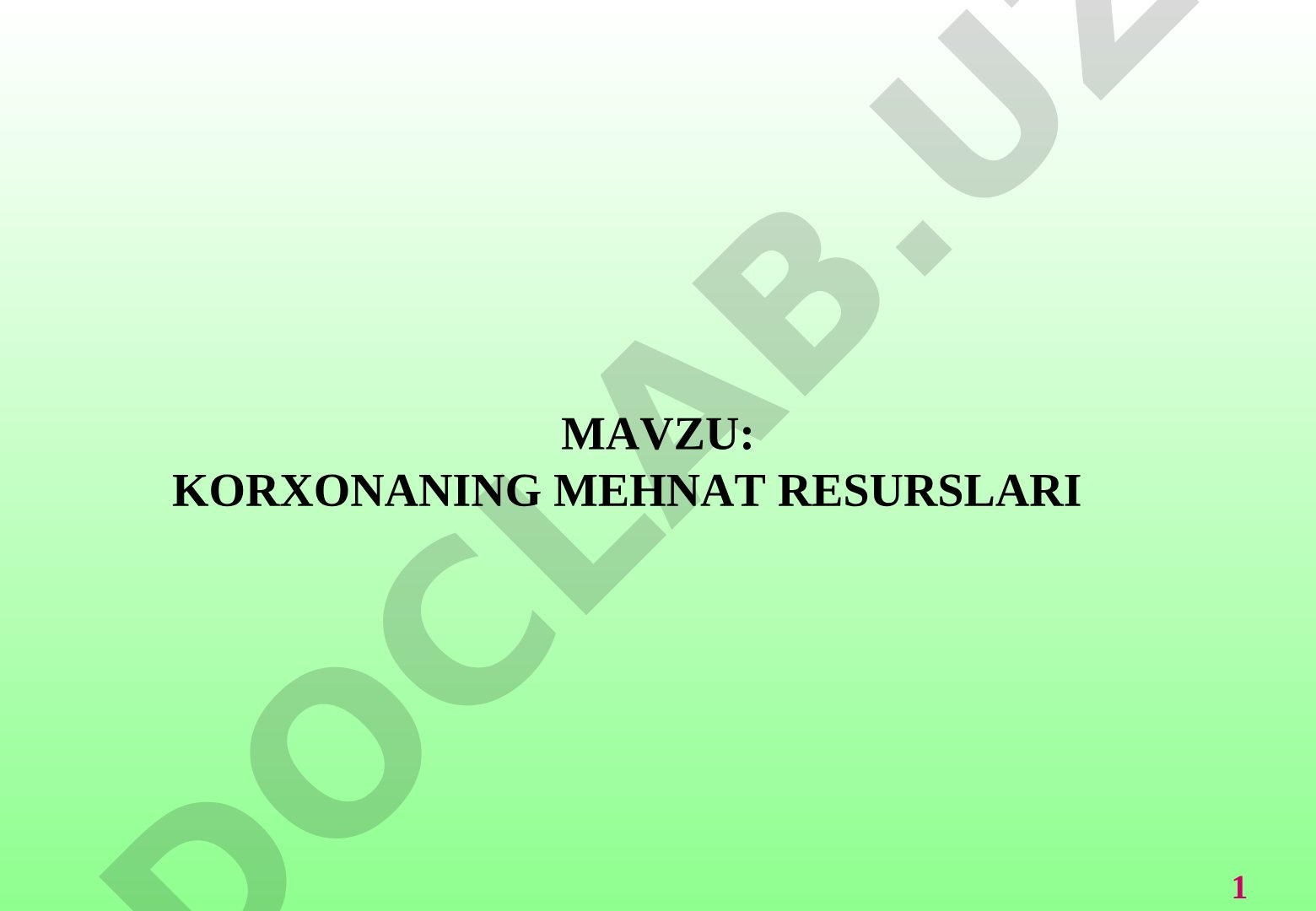 Mehnat resurslari taqdimoti