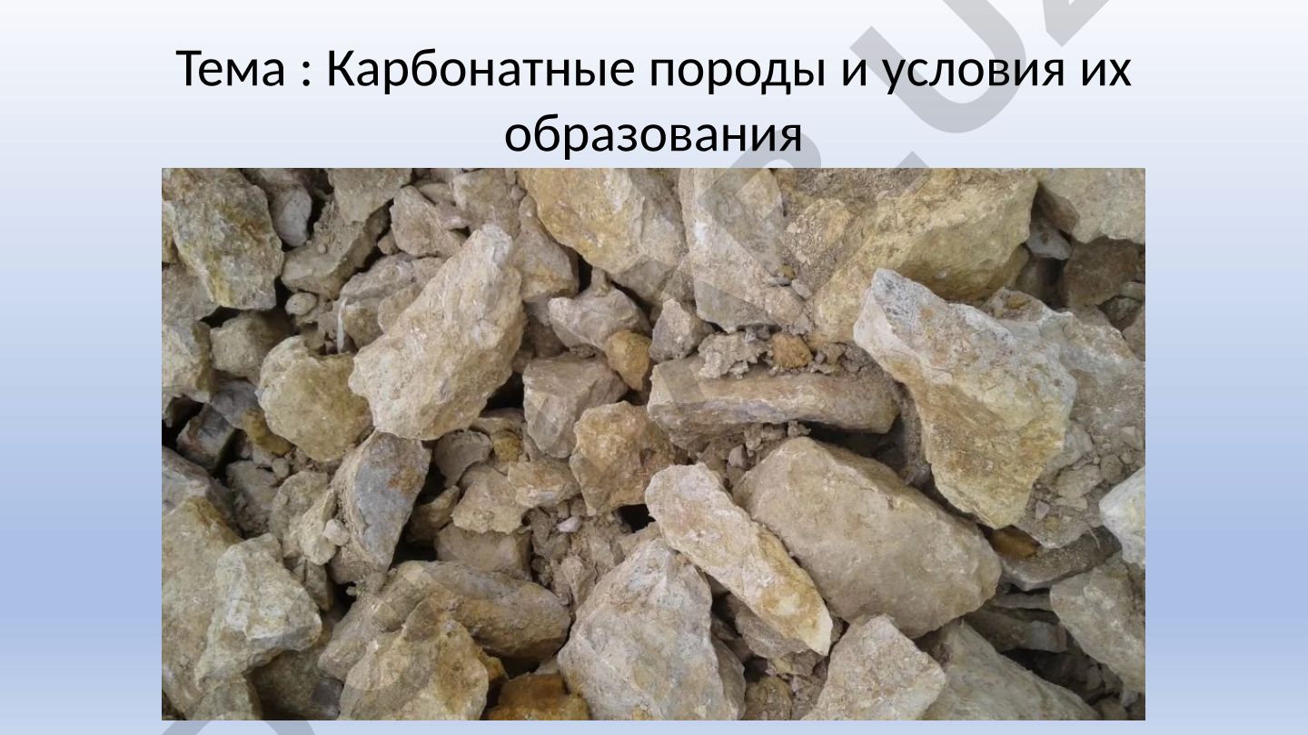 Карбонатные породы и условия их образования