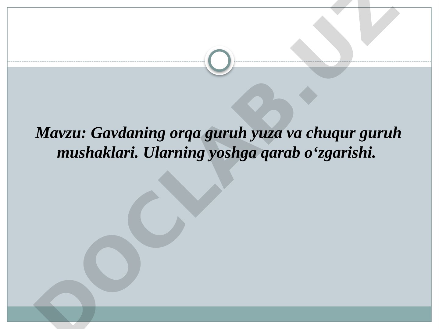 Orqa mushaklari taqdimoti