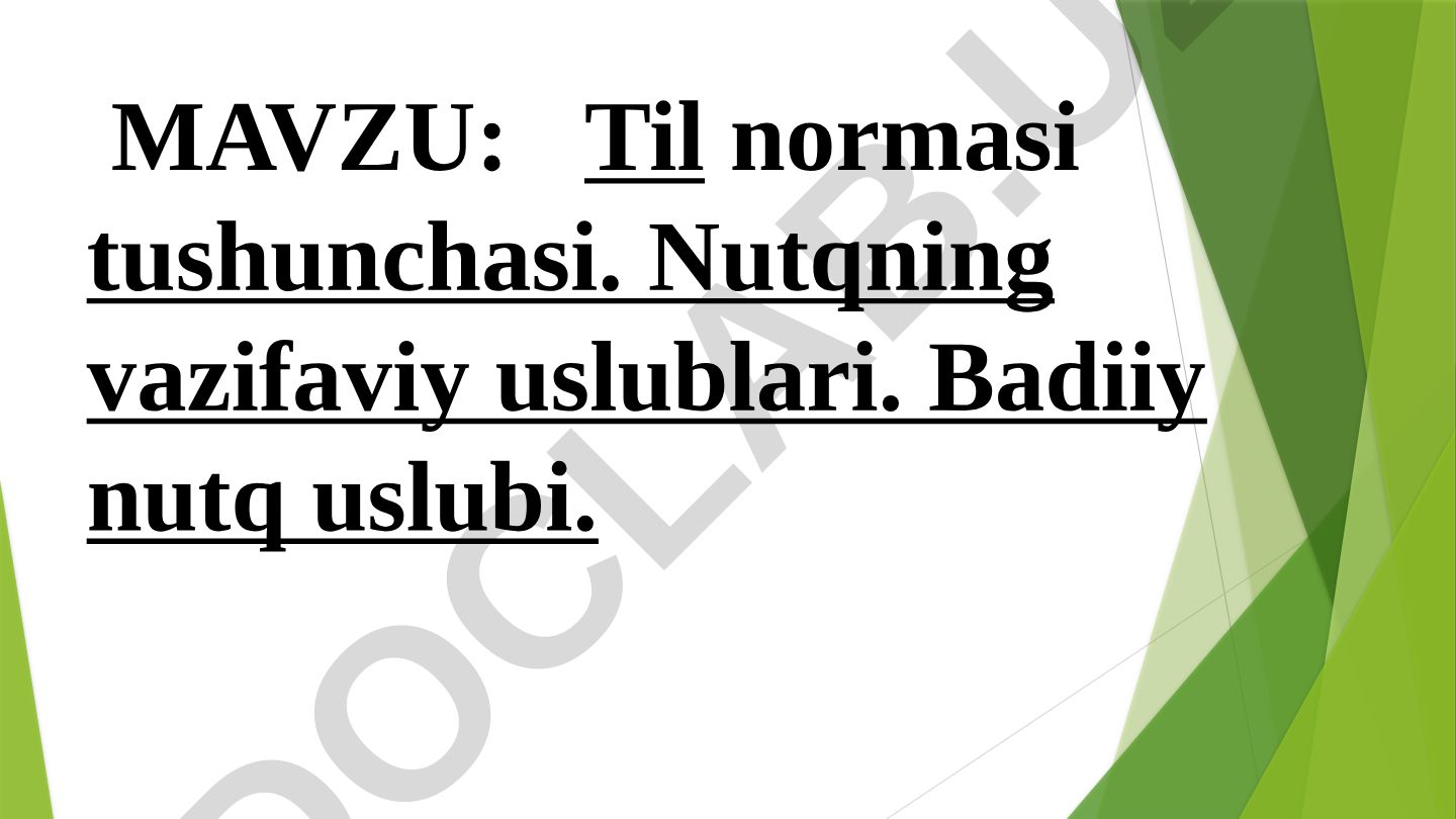 Til normasi tushunchasi. Nutqning vazifaviy uslublari. Badiiy nutq uslubi