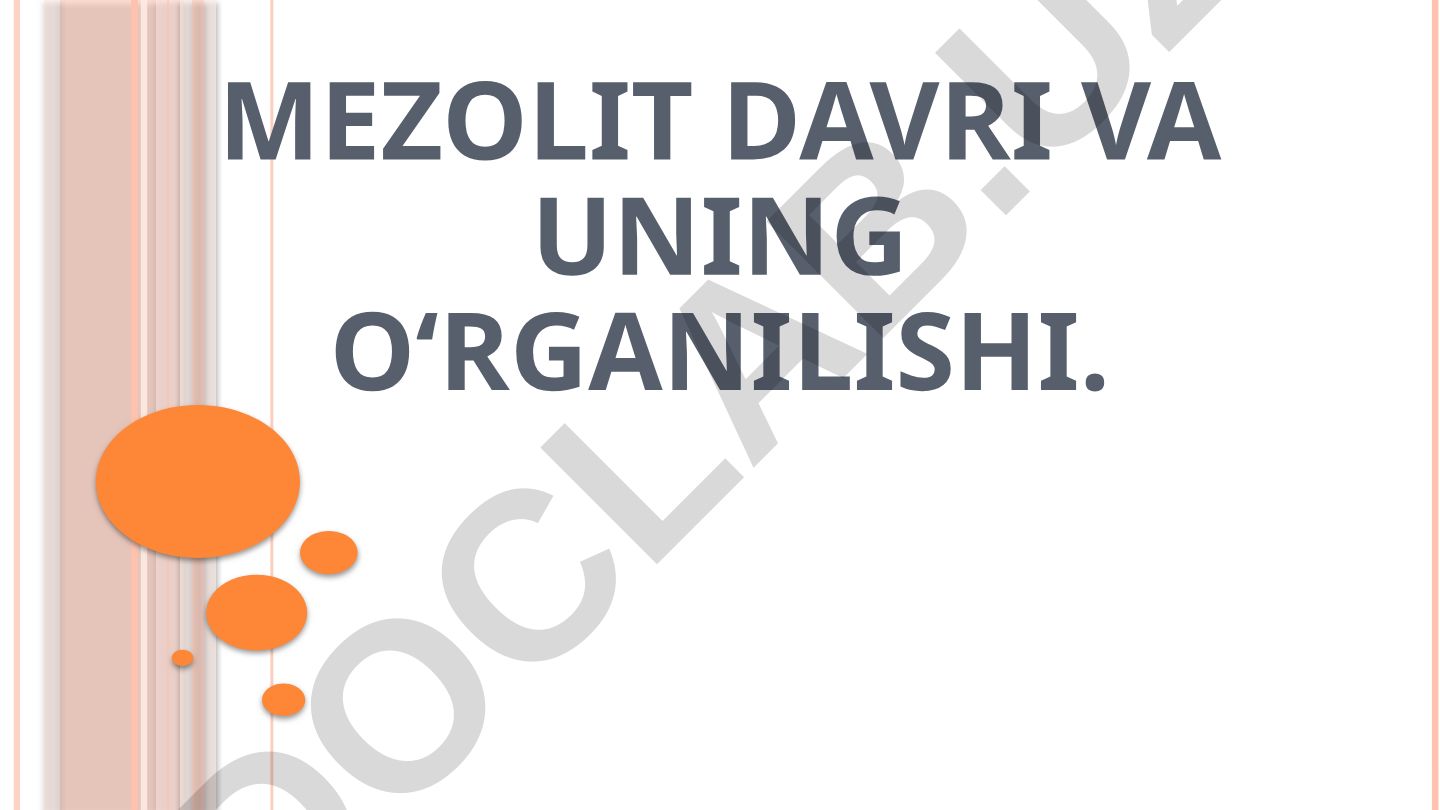 Mezolit davri va uning o‘rganilishi