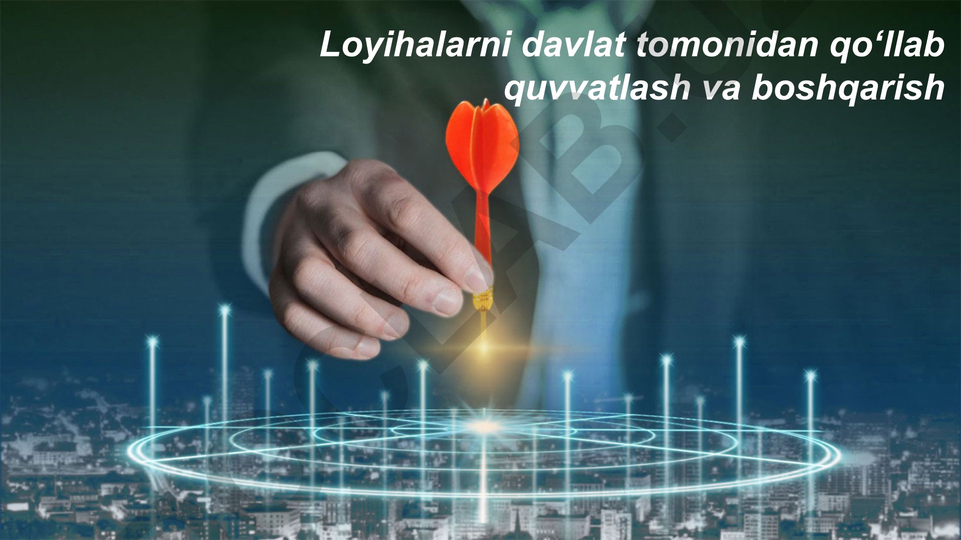 Loyihalarni davlat tomonidan qo‘llab quvvatlash va boshqarish