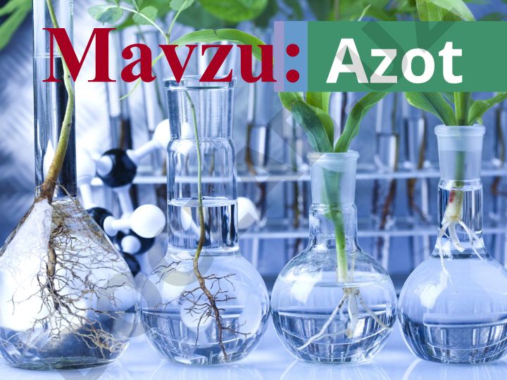 Azot molekulasining tuzilishi va xossalari