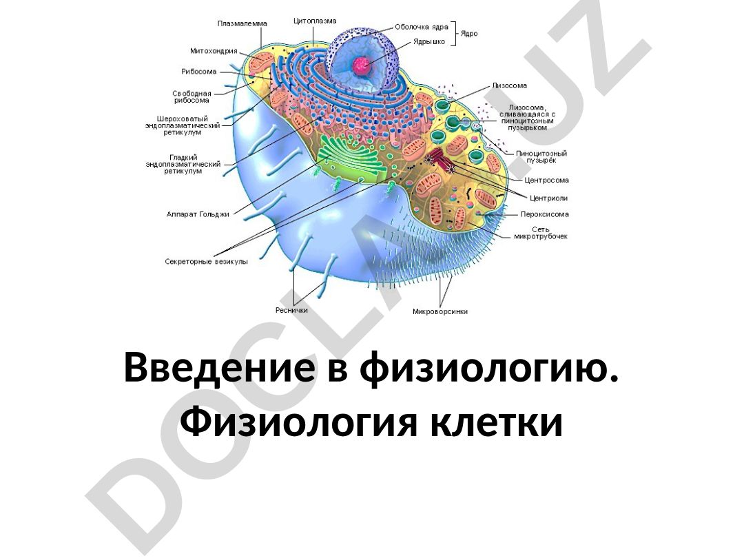 Введение в физиологию. Физиология клетки