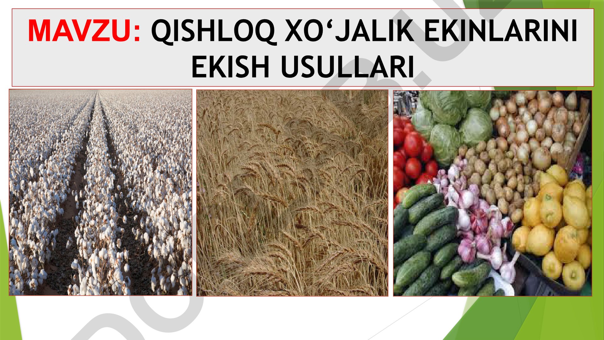 Qishloq xo‘jalik ekinlarini ekish usullari