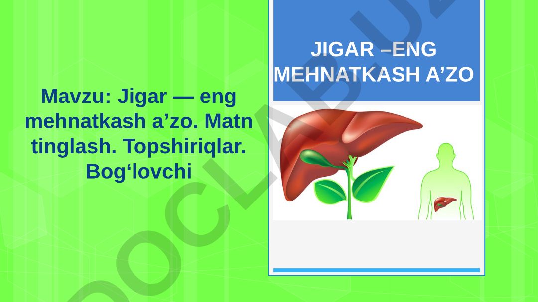 Jigar — eng mehnatkash aʼzo