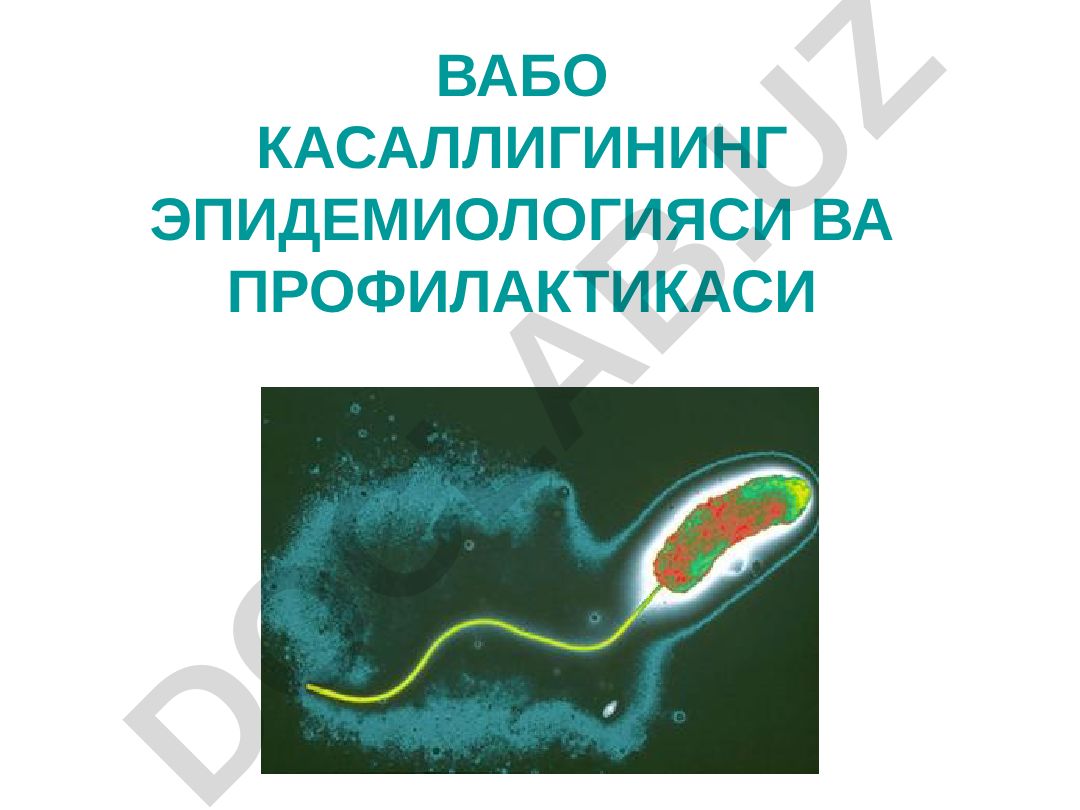 Вабо касаллигининг эпидемиологияси ва профилактикаси таърифи