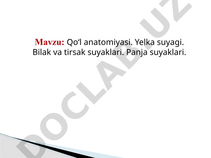 Qo‘l anatomiyasi. Yelka suyagi. Bilak va tirsak suyaklari. Panja suyaklari