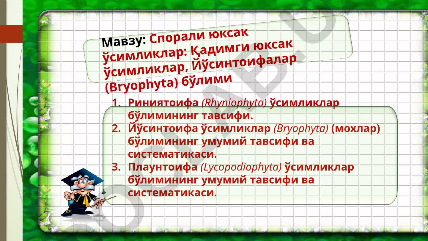 Спорали юксак ўсимликлар: Қадимги юксак ўсимликлар, Йўсинтоифалар (Bryophyta) бўлими