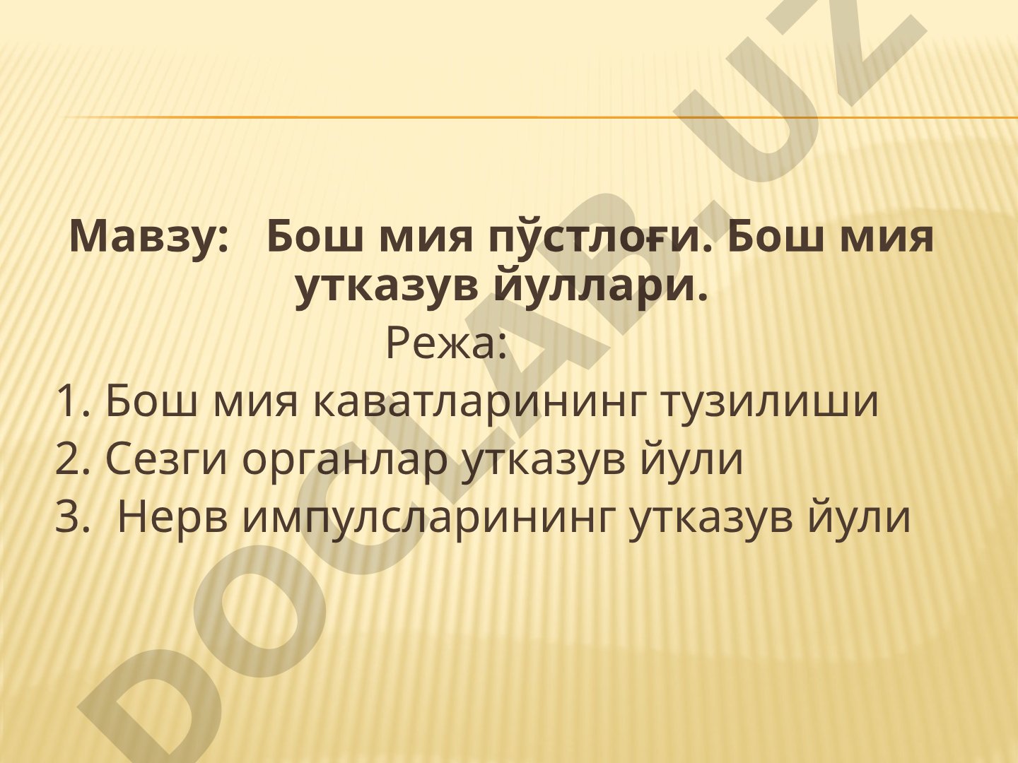 Бош мия пўстлоғи. Бош мия утказув йуллари
