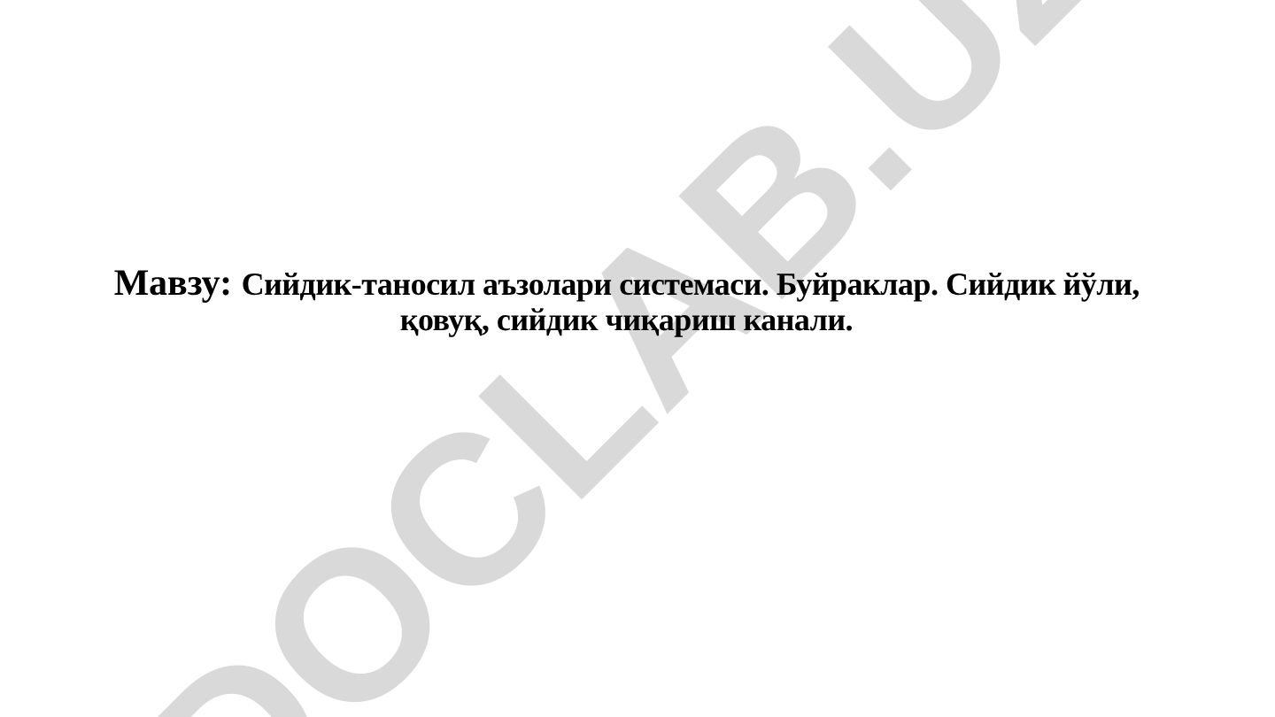 Сийдик-таносил аъзолари системаси. Буйраклар. Сийдик йўли, қовуқ, сийдик чиқариш канали