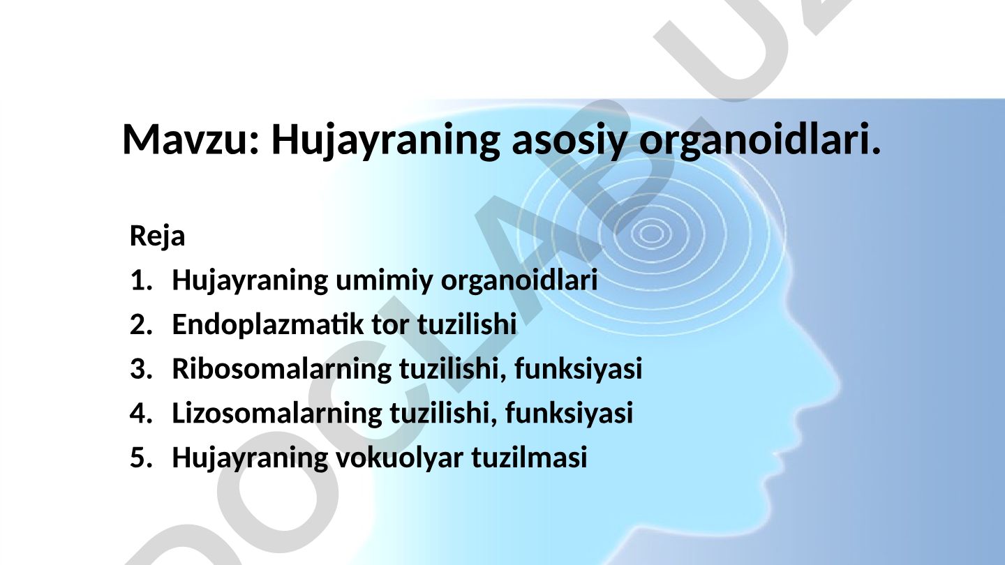 Hujayraning asosiy organoidlari