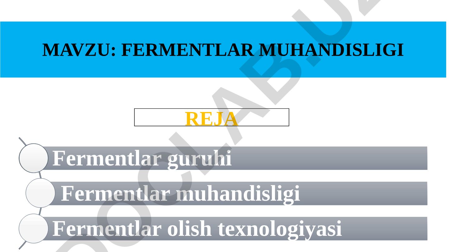 Fermentlar muhandisligi