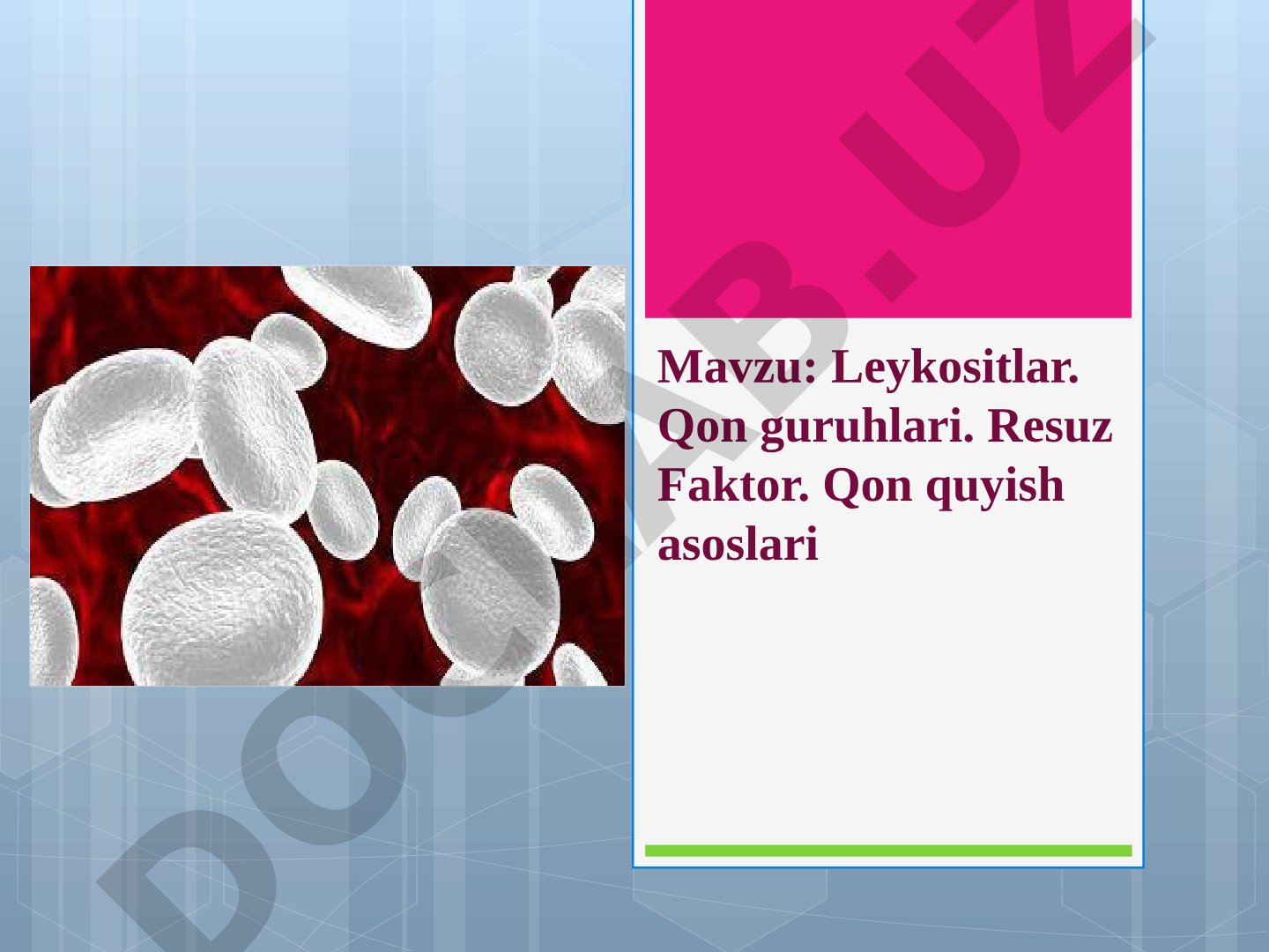 Leykositlar. Qon guruhlari. Resuz Faktor. Qon quyish asoslari