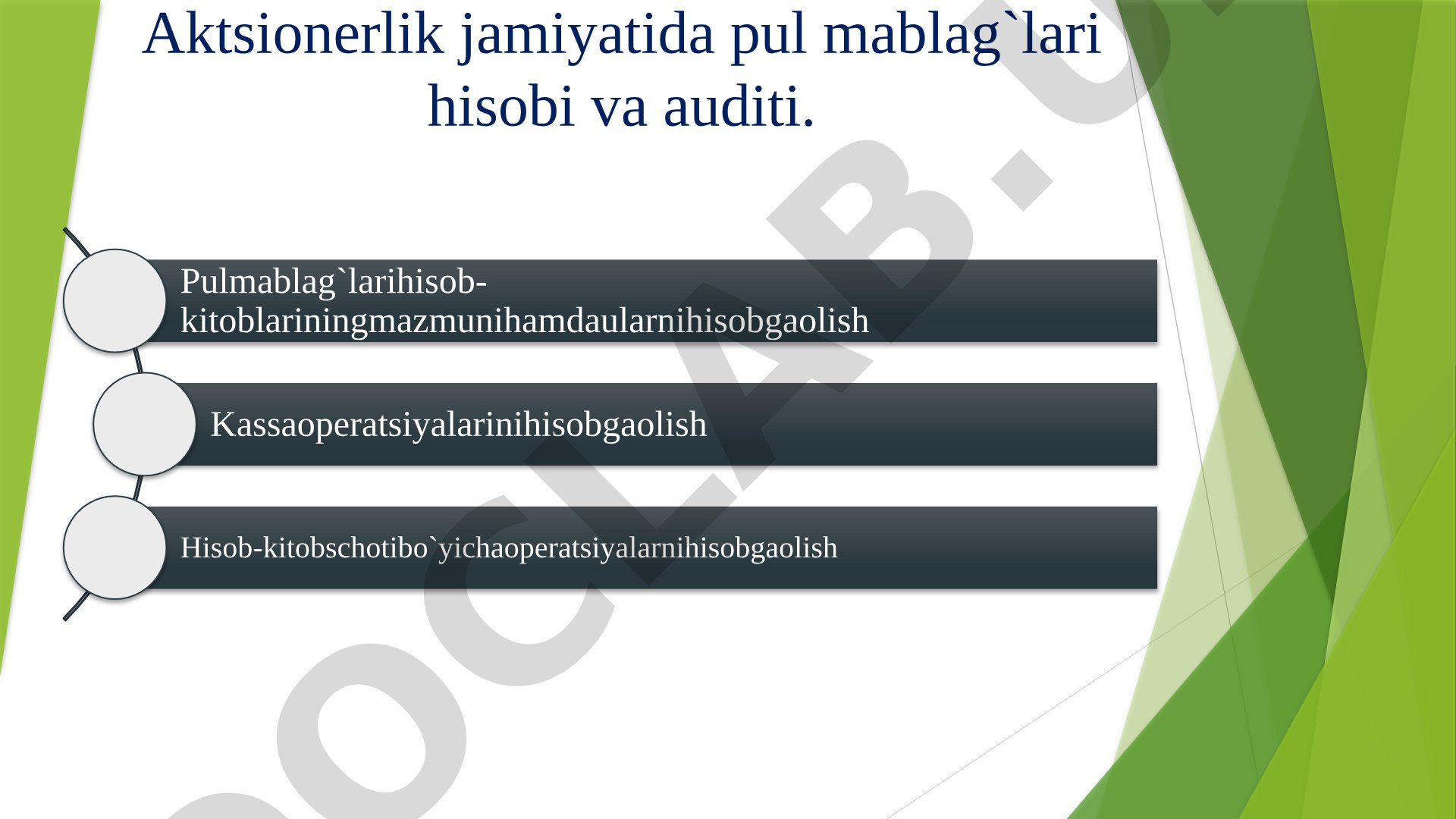 Aktsionerlik jamiyatida pul mablag'lari hisobi va auditi