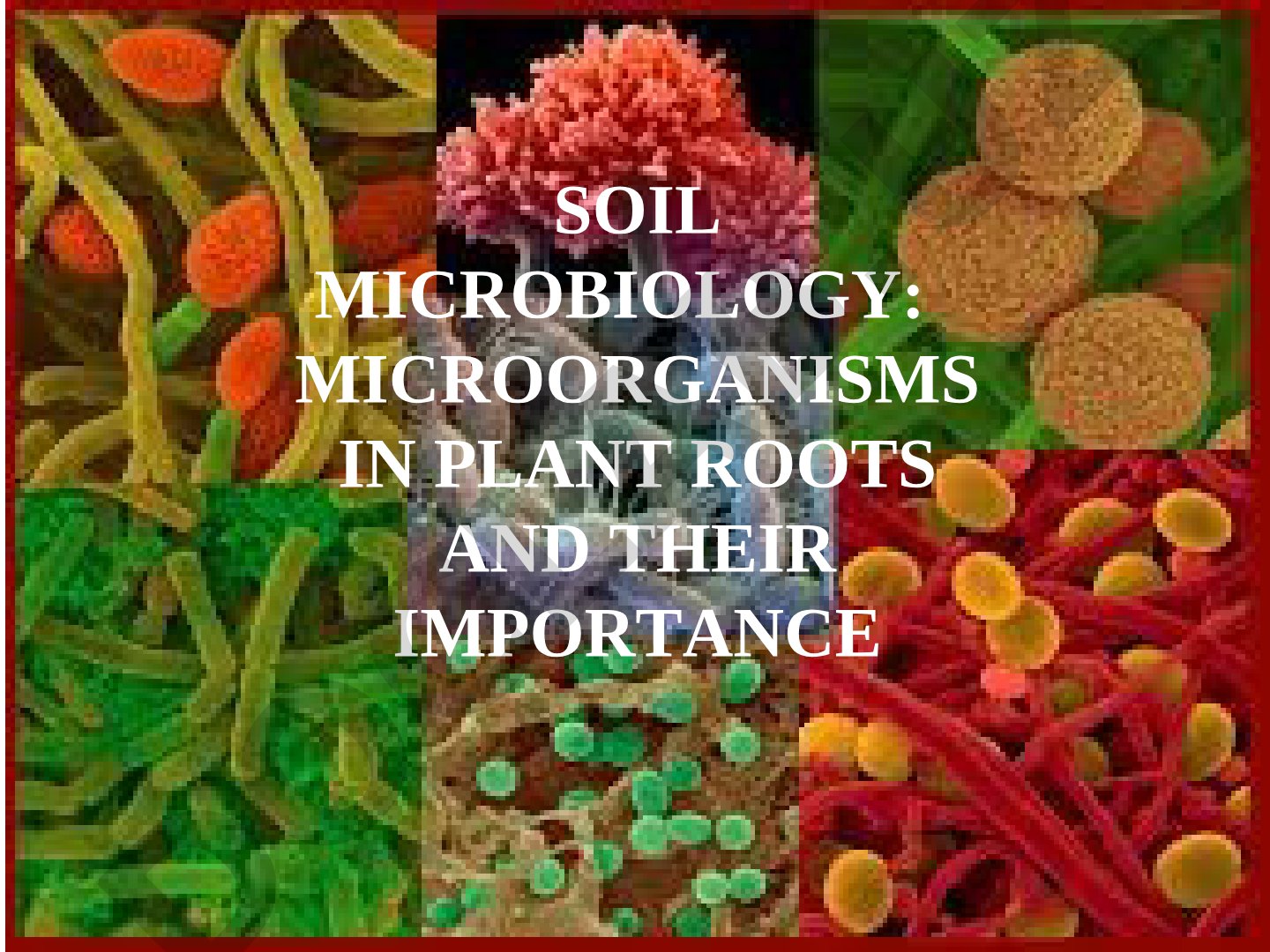 Soil Microbiology: Microorganisms in Plant Roots and Their Importance