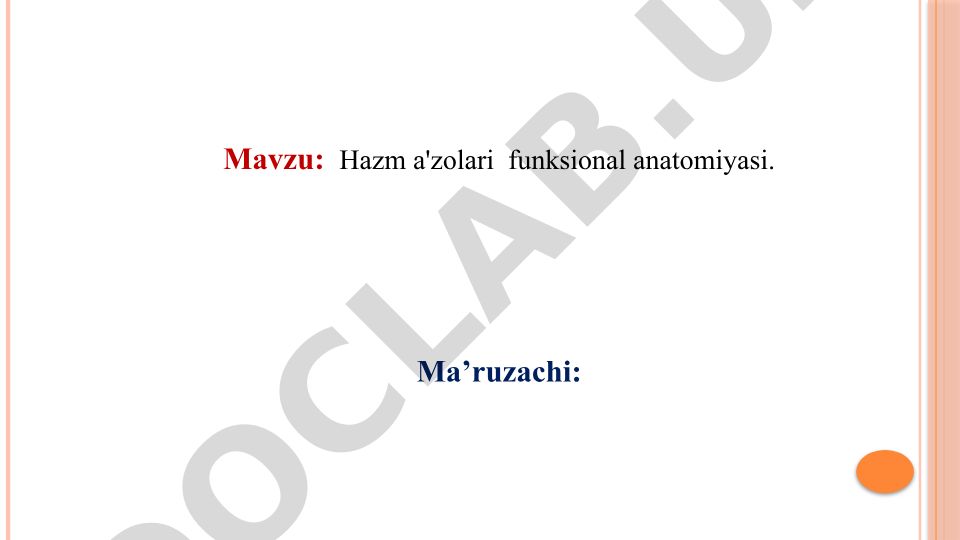 Hazm a'zolari funksional anatomiyasi