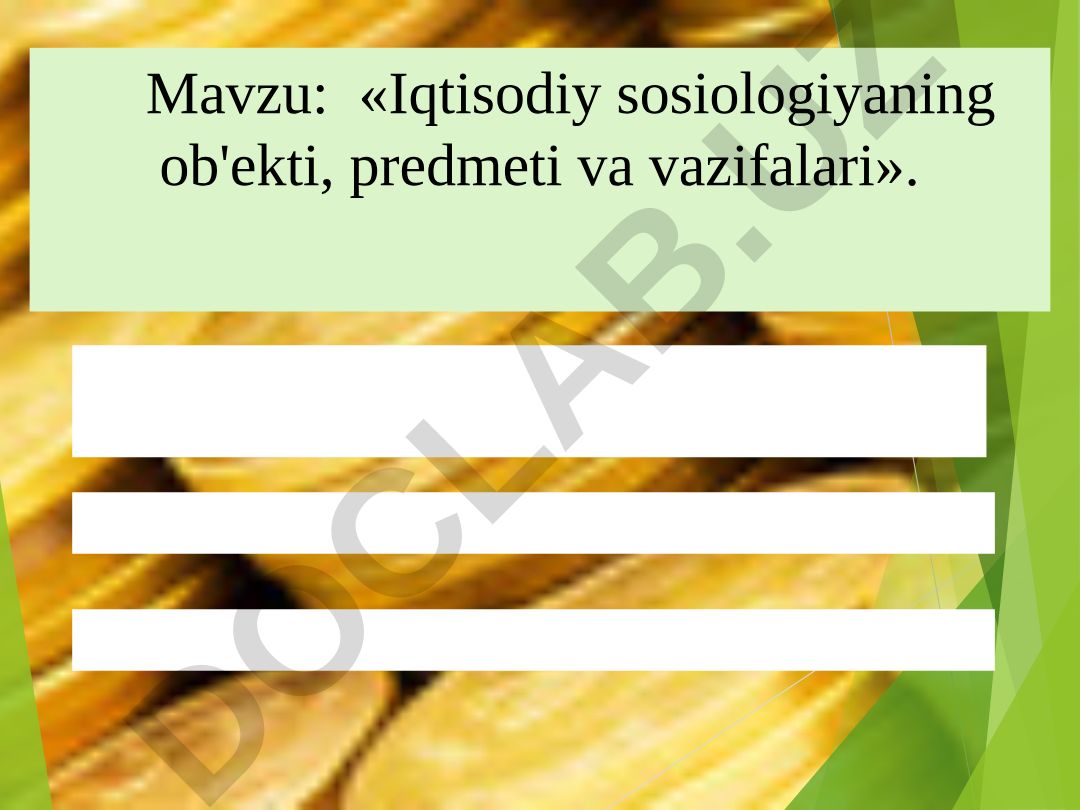 Iqtisodiy sosiologiyaning ob'ekti, predmeti va vazifalari