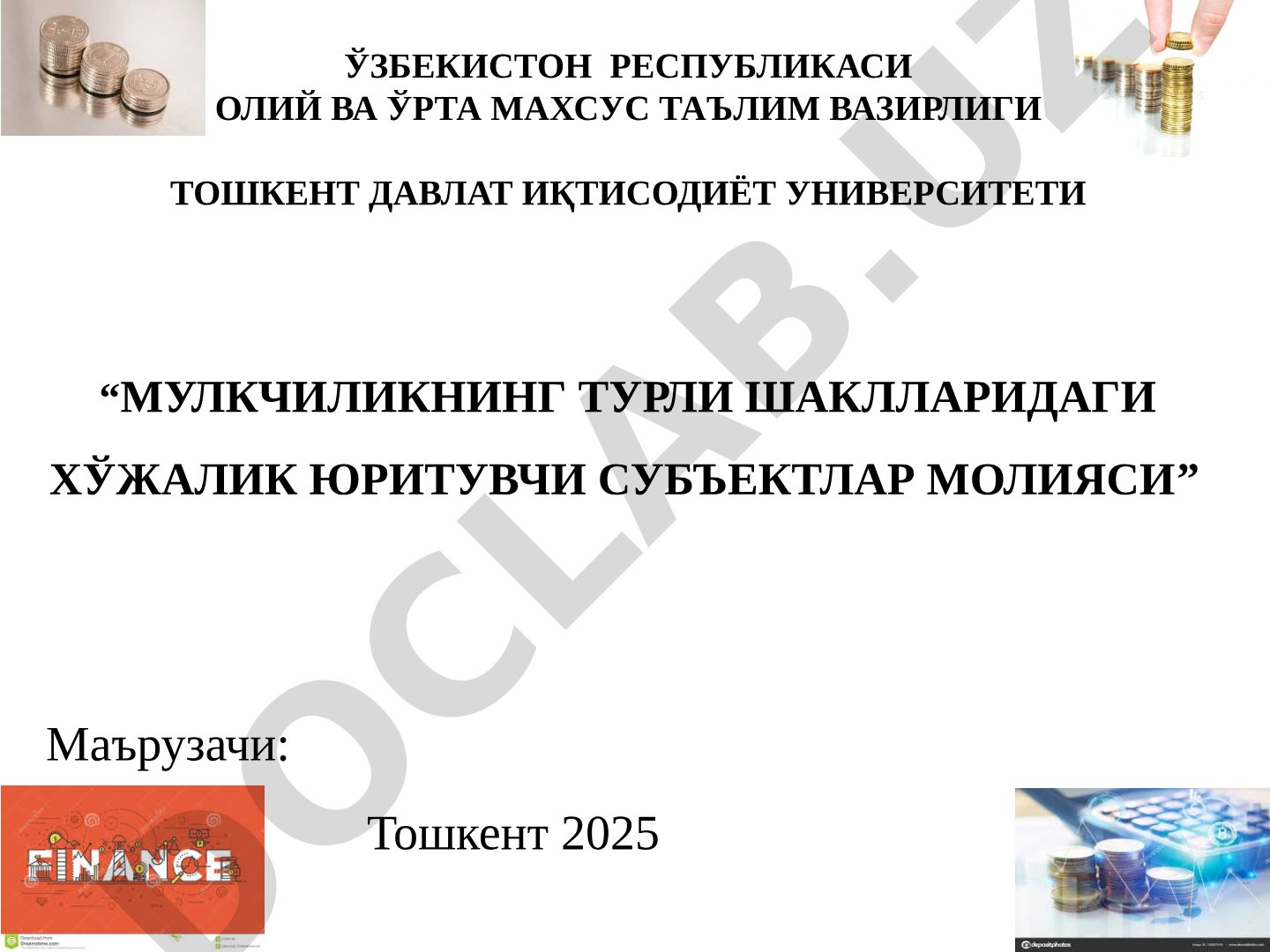 Мулкчиликнинг турли шаклларидаги хўжалик юритувчи субъектлар молияси