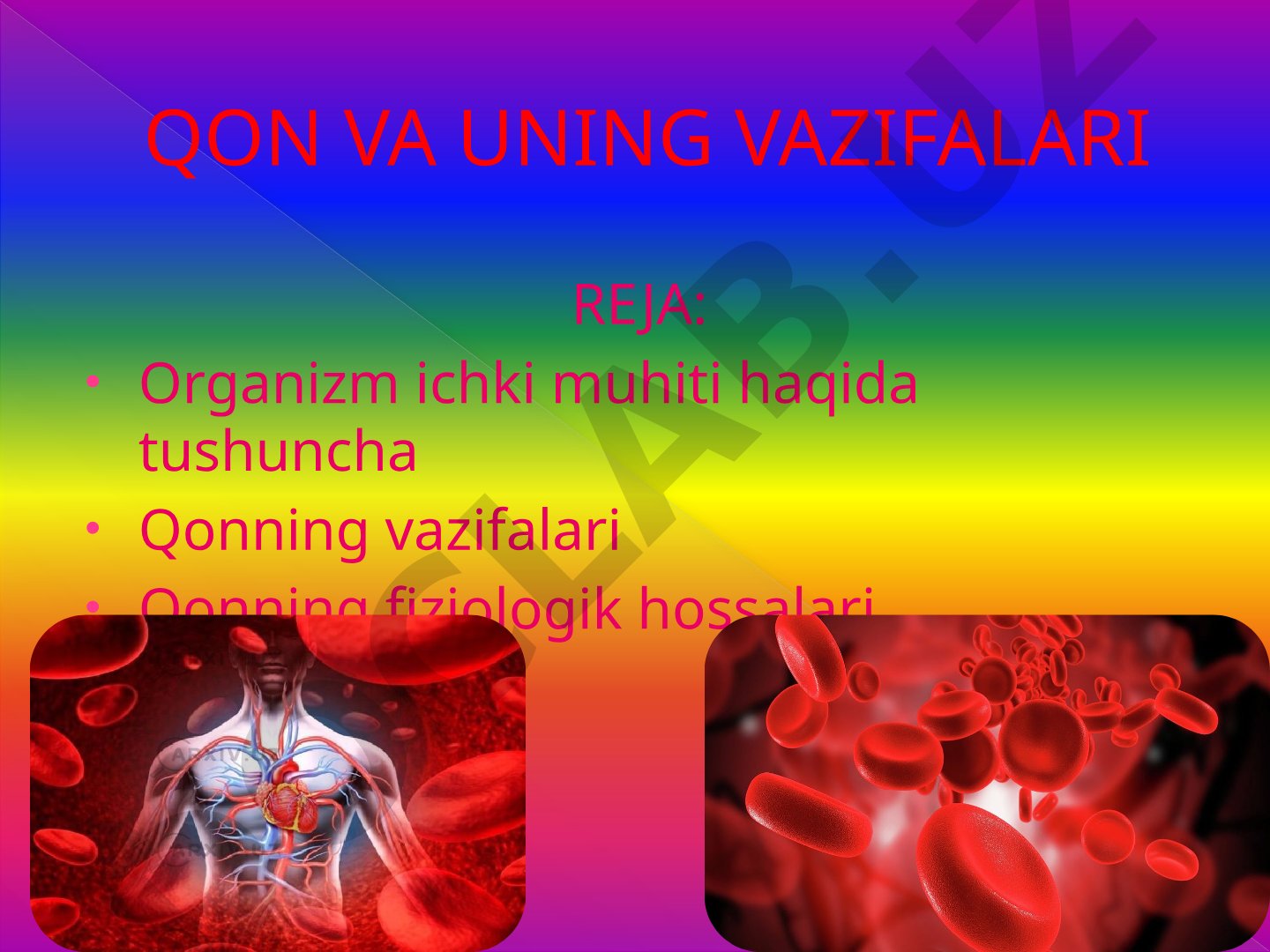 Qon va uning vazifalari