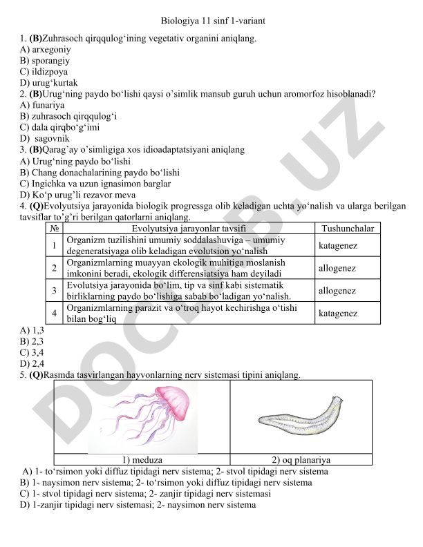 Biologiya fanidan 11-sinf uchun test savollari