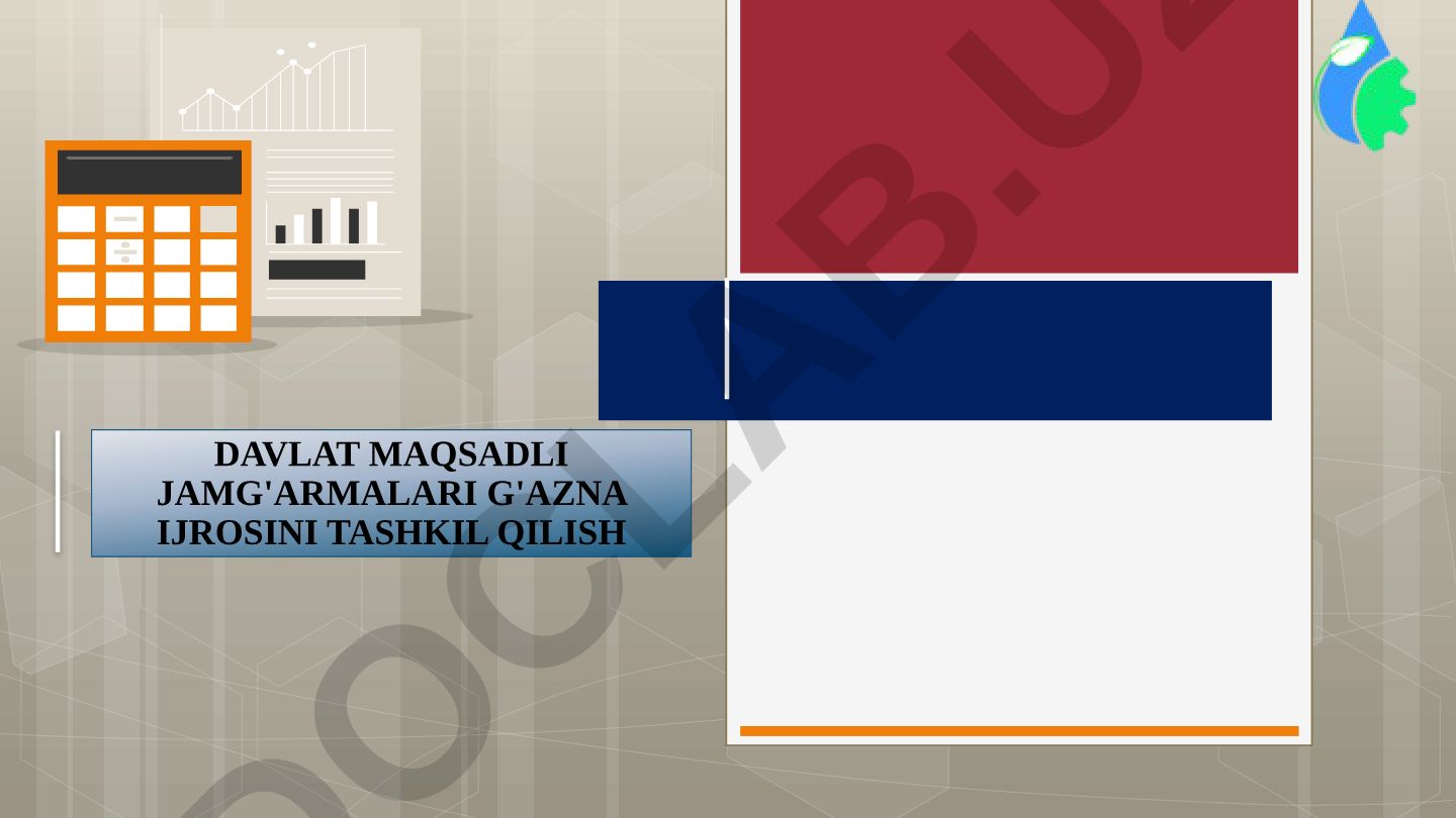 Davlat maqsadli jamg'armalari g'azna ijrosini tashkil qilish
