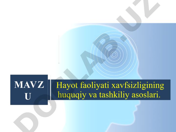 Hayot faoliyati xavfsizligining huquqiy va tashkiliy asoslari