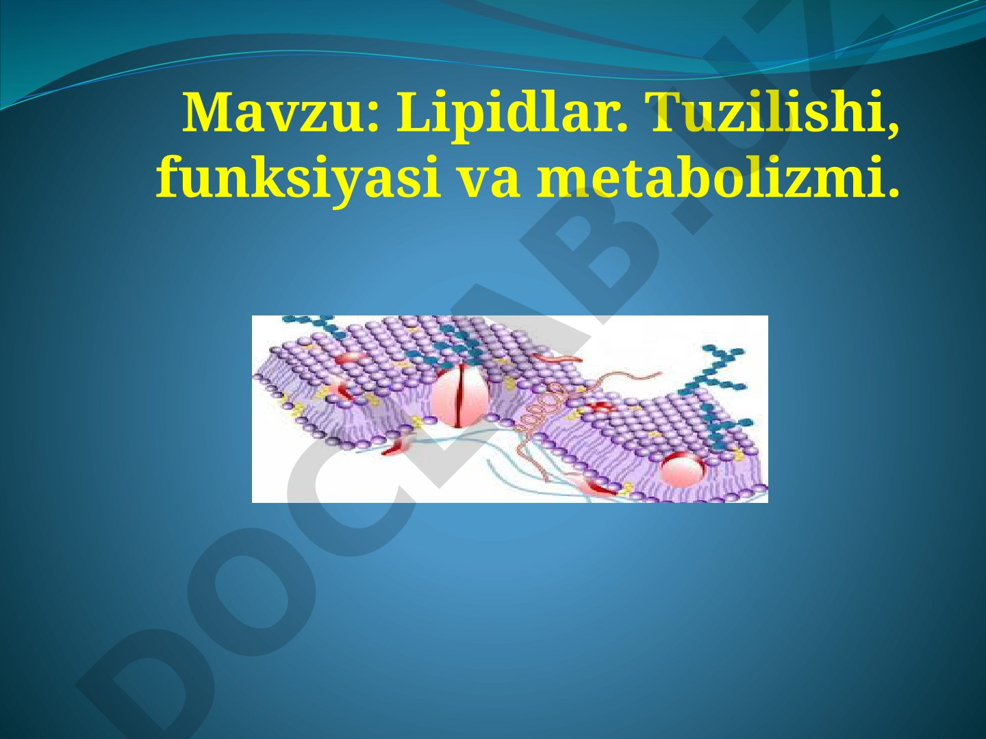 Lipidlar. Tuzilishi, funksiyasi va metabolizmi