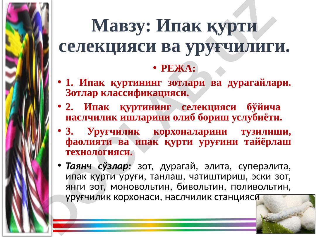 Ипак қурти селекцияси ва уруғчилиги