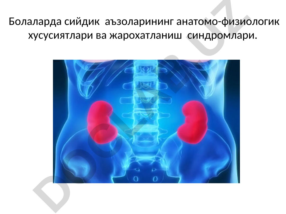 Болаларда сийдик аъзоларининг анатомо-физиологик хусусиятлари ва жарохатланиш синдромлари